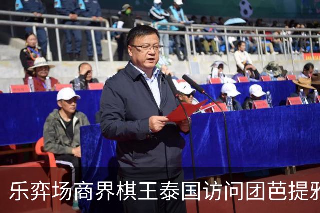 乐弈场商界棋王泰国访问团芭提雅围棋交流赛圆满成功